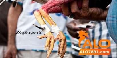 da ga cua sat alo789