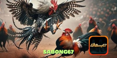 sabong67